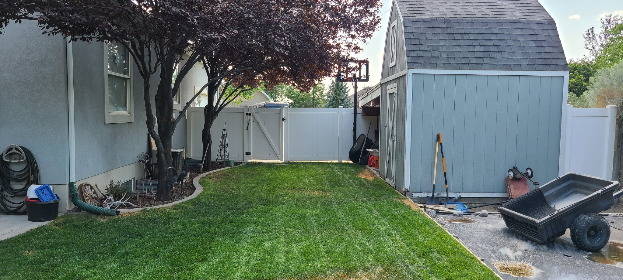 Lawn after service