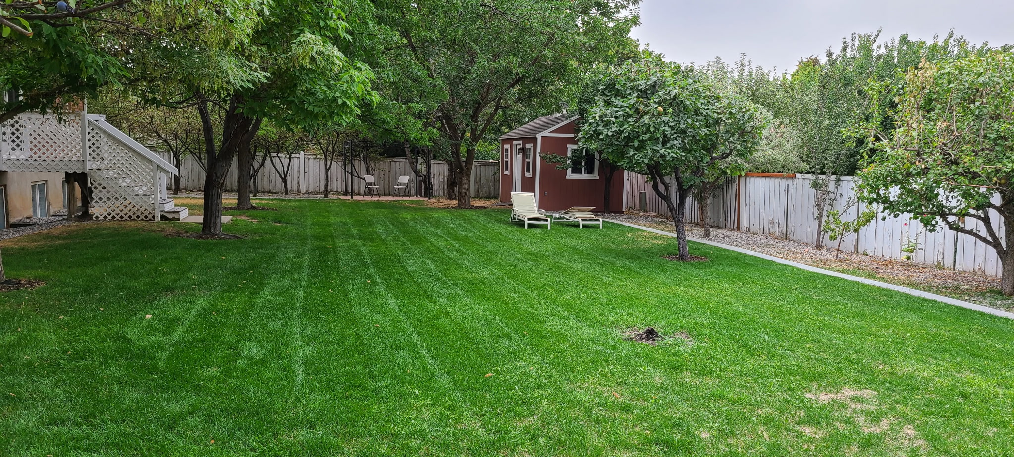 Yard after service