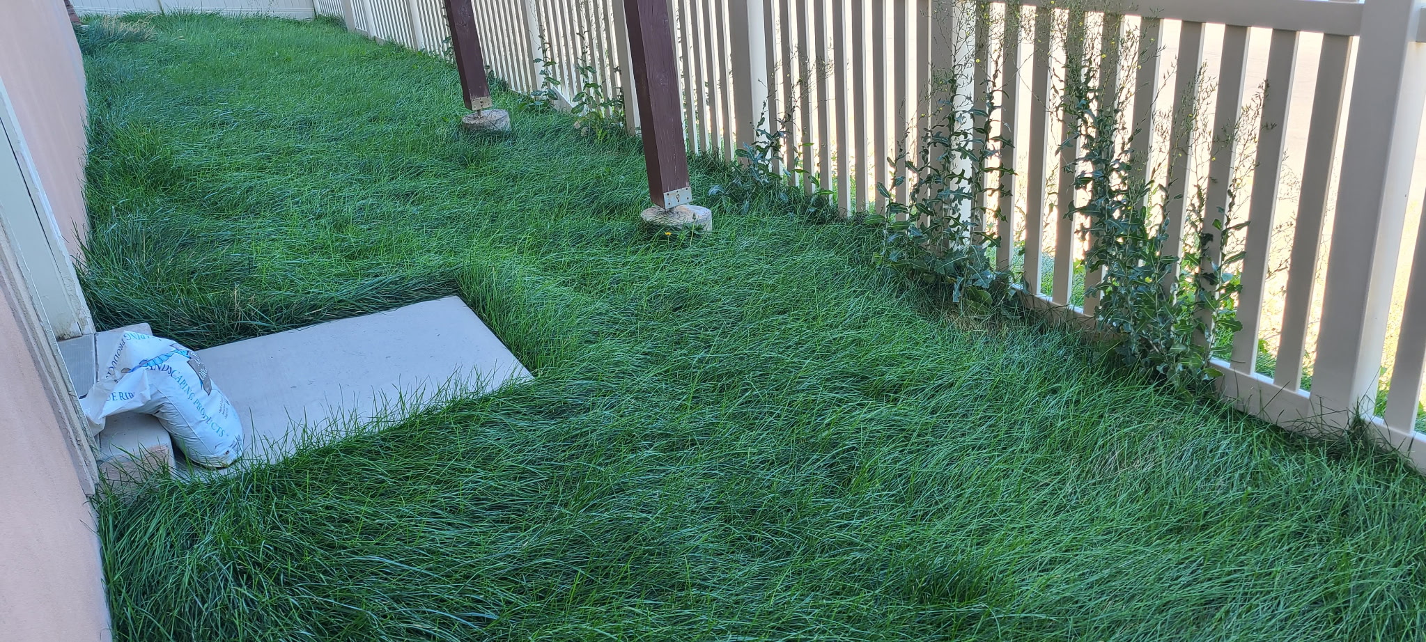 Yard before service
