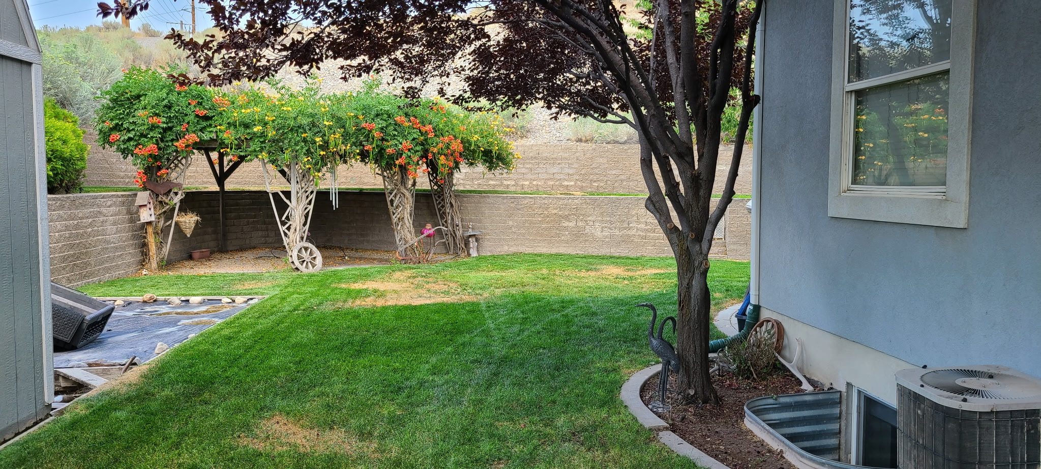 Lawn after maintenance